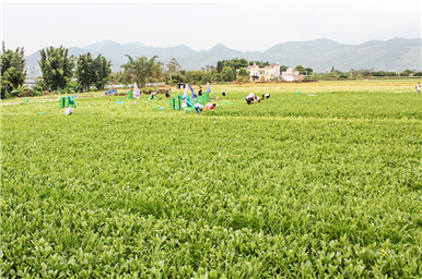 龍門(mén)生產(chǎn)基地