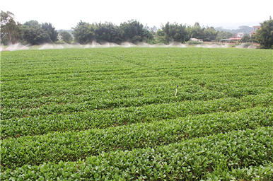 龍門(mén)生產(chǎn)基地